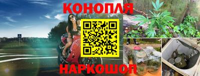 spice Ирбит
