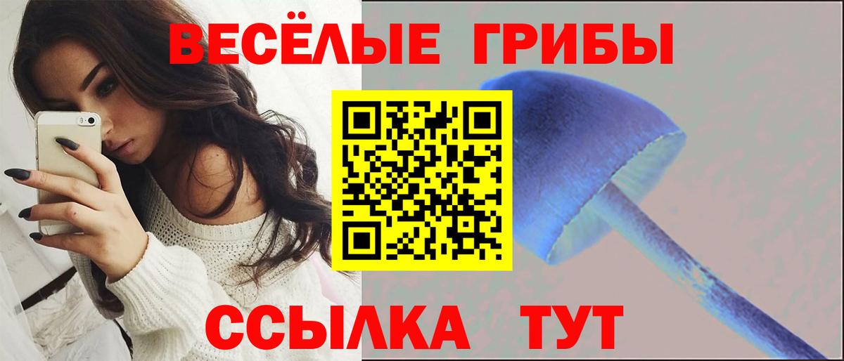 Кубинка  Галлюциногенные грибы Cubensis  Псилоцибиновые грибы GOLDEN TEACHER  Вход с VPN 