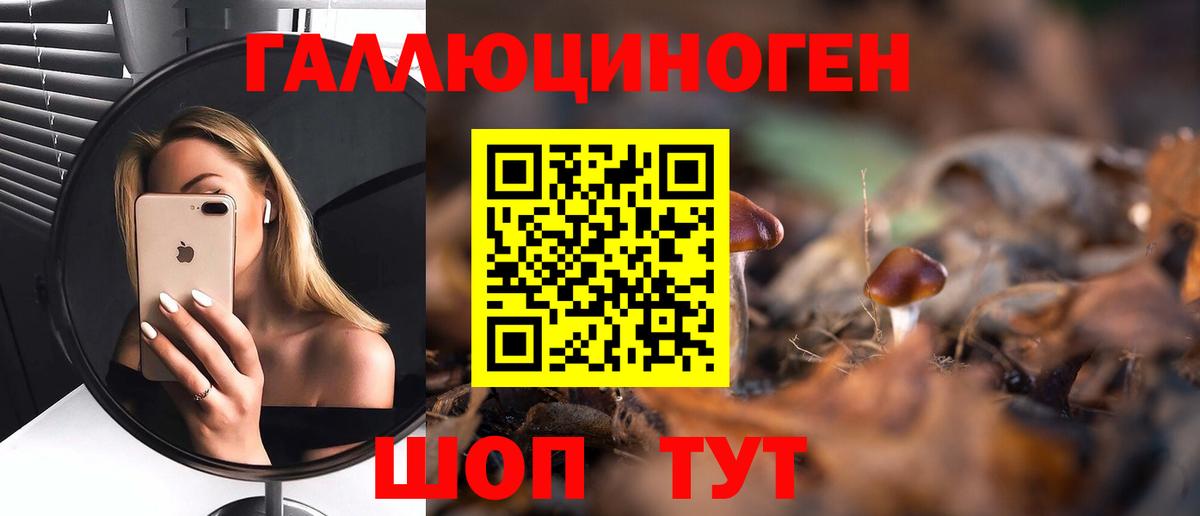 Галлюциногенные грибы мицелий Кубинка